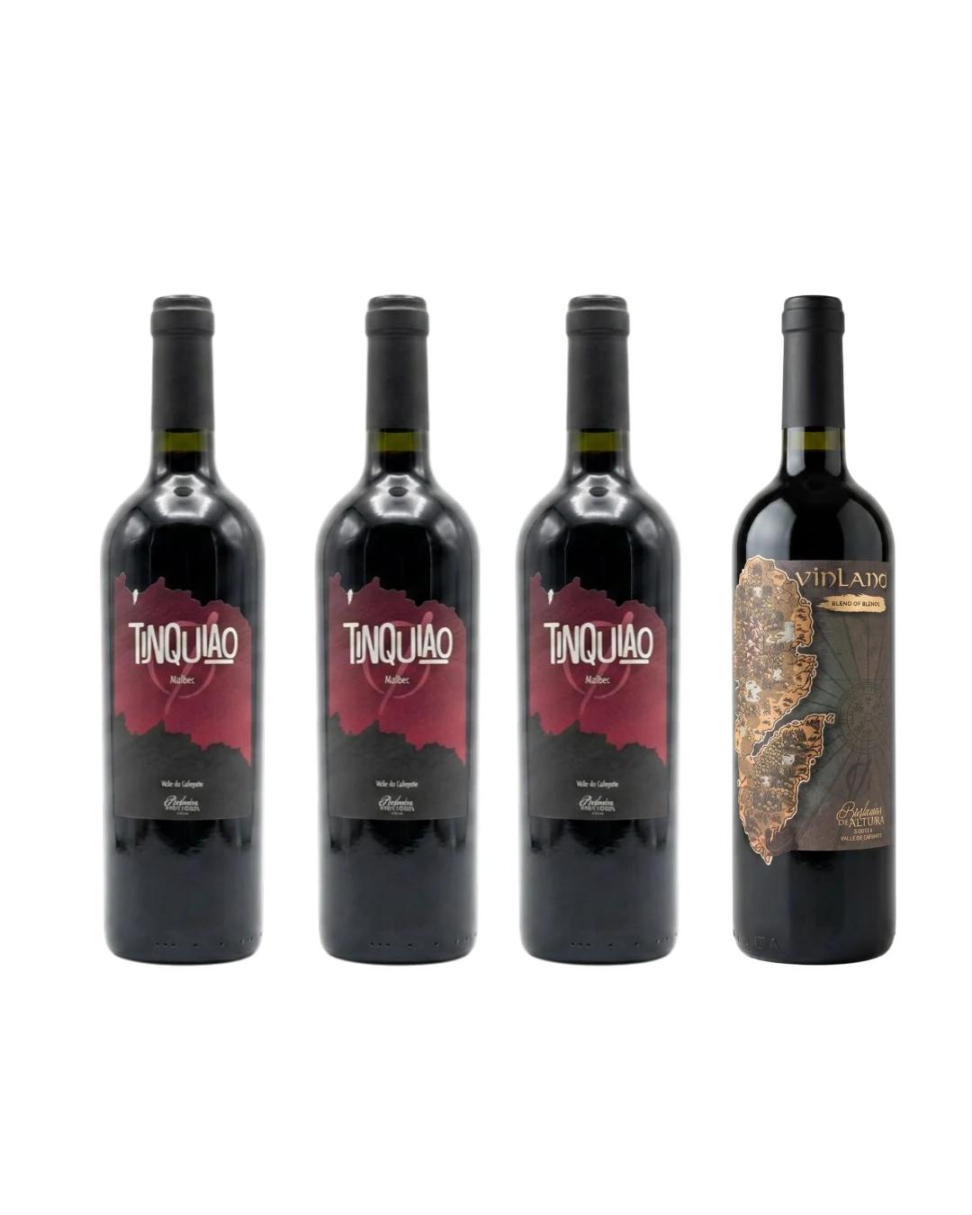 Combo "Asado Vikingo Vinland" - 3 Tinquiao Malbec + 1 Vinland — Combo de Burbujas de Altura
